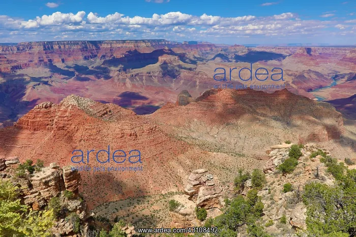 : The Grand Canyon seen from the South Rim at Desert : The Grand Canyon seen from the South Rim at Desert