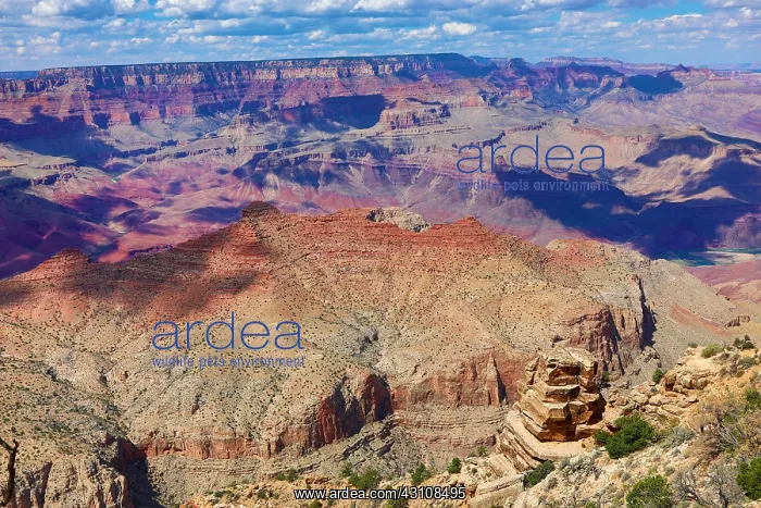 : The Grand Canyon seen from the South Rim at Desert : The Grand Canyon seen from the South Rim at Desert