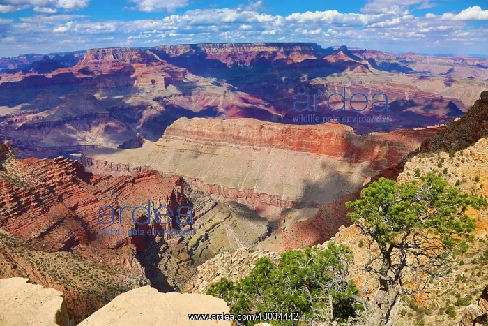  : Grand Canyon seen from the South Rim in the Grand
