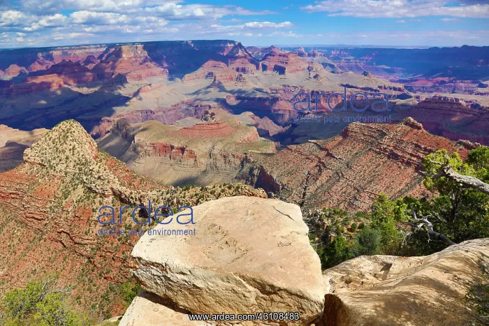  : Grand Canyon seen from the South Rim in the Grand