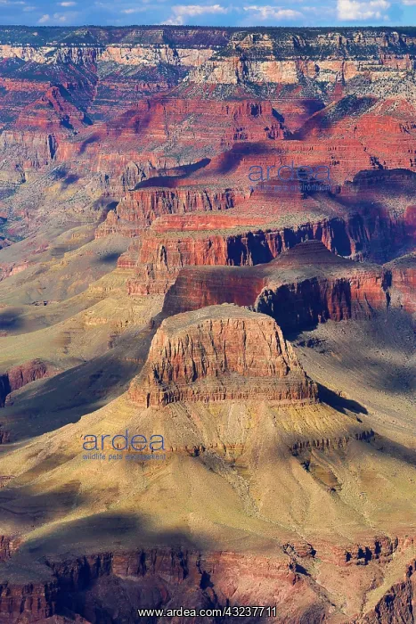  : Grand Canyon seen from the South Rim in the Grand