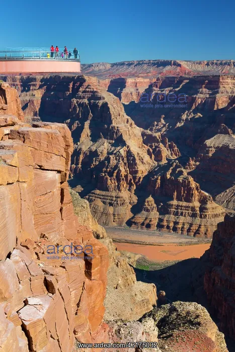 : Grand Canyon Skywalk, Hualapai Reservation, Grand : Grand Canyon Skywalk, Hualapai Reservation, Grand