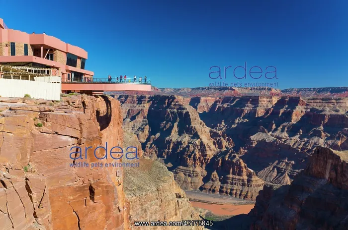 : Grand Canyon Skywalk, Hualapai Reservation, Grand : Grand Canyon Skywalk, Hualapai Reservation, Grand