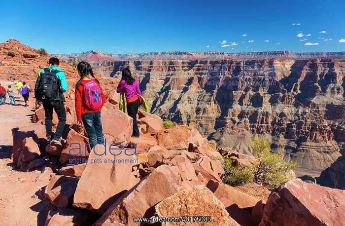 : Grand Canyon Skywalk, Hualapai Reservation, Grand : Grand Canyon Skywalk, Hualapai Reservation, Grand