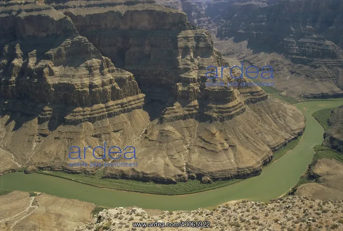 : Grand Canyon West : Grand Canyon West
