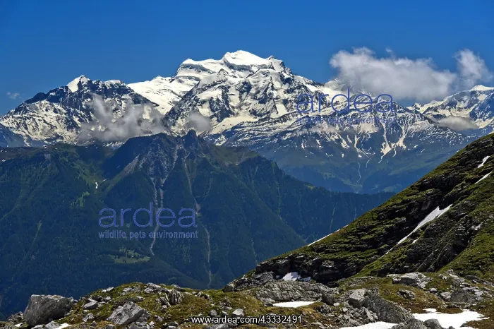 : Grand Combin massif over the Rhone valley, mountain : Grand Combin massif over the Rhone valley, mountain