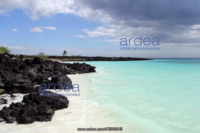 : Grand Comore Island : Grand Comore Island
