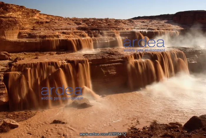  : Grand Falls - raging muddy falls of the Little