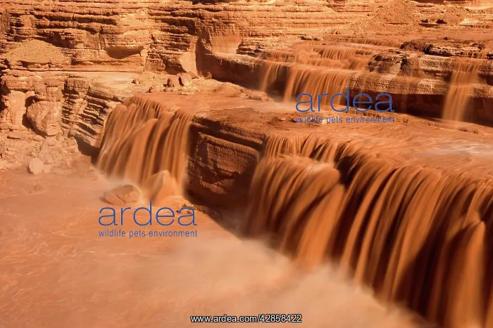 : Grand Falls - raging muddy falls of the Little : Grand Falls - raging muddy falls of the Little
