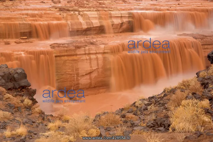 : Grand Falls - raging muddy falls of the Little : Grand Falls - raging muddy falls of the Little
