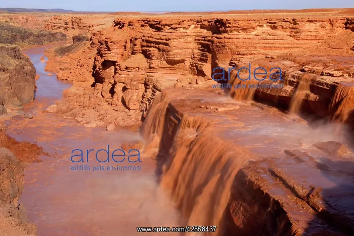 : Grand Falls - raging muddy falls of the Little : Grand Falls - raging muddy falls of the Little