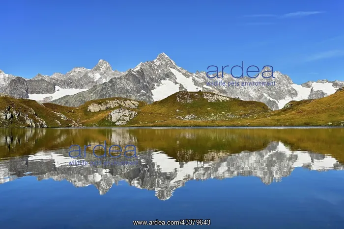 : Grand Jorass, Aiguille du Talefre, Aiguille du Triolet : Grand Jorass, Aiguille du Talefre, Aiguille du Triolet