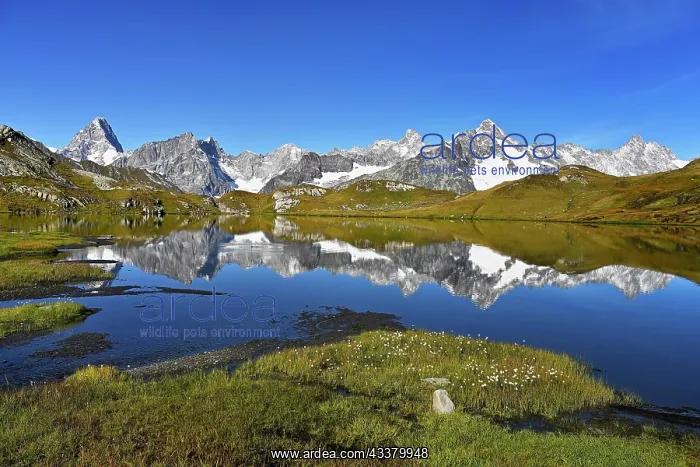 : Grand Jorass, Aiguille du Talefre, Aiguille du Triolet : Grand Jorass, Aiguille du Talefre, Aiguille du Triolet