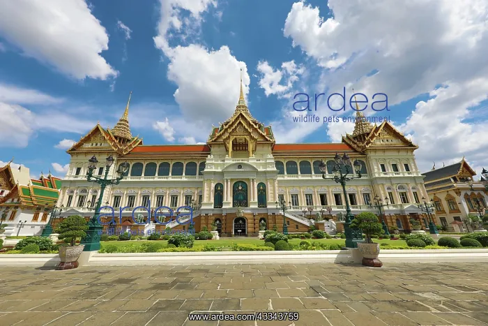 : The Grand Palace in the Grand Palace Complex, Wat : The Grand Palace in the Grand Palace Complex, Wat