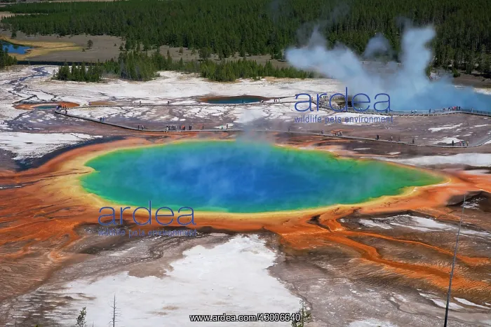 : Grand Prismatic Spring : Grand Prismatic Spring