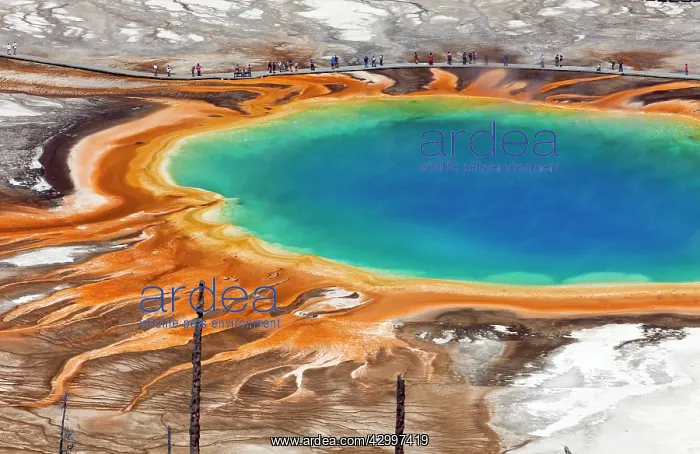  : Grand Prismatic Spring Midway Geyser Basin, Yellowstone