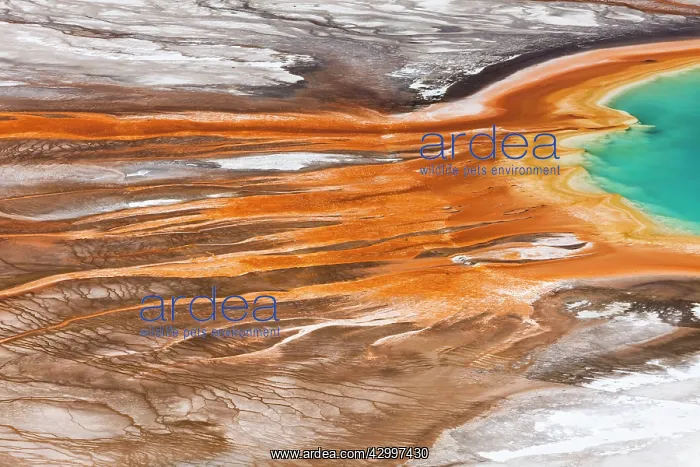 : Grand Prismatic Spring Midway Geyser Basin, Yellowstone : Grand Prismatic Spring Midway Geyser Basin, Yellowstone