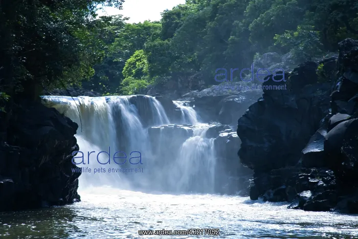 : Grand River South East Falls (Grand Riviere : Grand River South East Falls (Grand Riviere