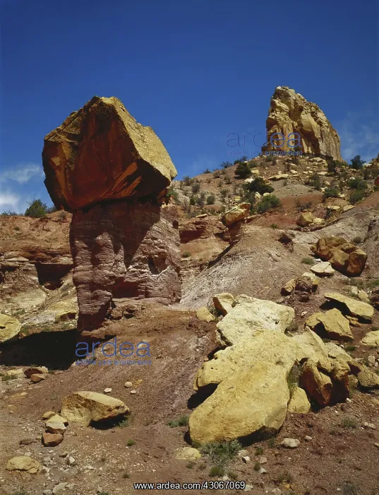 : Grand Staircase / Escalante, Utah : Grand Staircase / Escalante, Utah