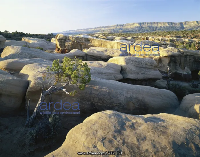 : Grand Staircase / Escalante, Utah : Grand Staircase / Escalante, Utah