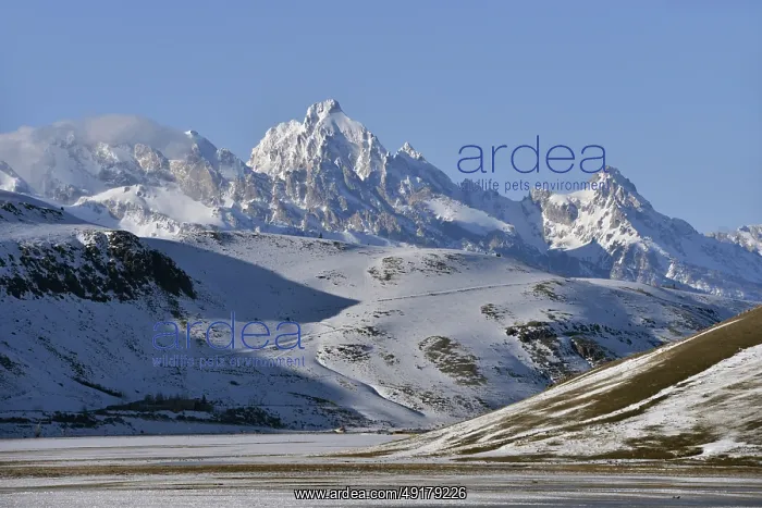 : Grand Teton... Jackson Hole (Greater Yellowstone Area) : Grand Teton... Jackson Hole (Greater Yellowstone Area)