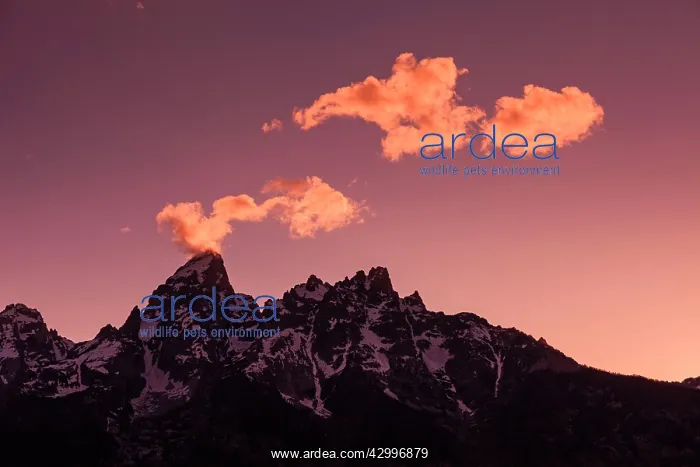 : Grand Teton Mountain Range - at dusk Grand Teton : Grand Teton Mountain Range - at dusk Grand Teton