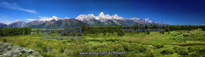 : Grand Teton Mountain Range from Glacier View Turnout : Grand Teton Mountain Range from Glacier View Turnout