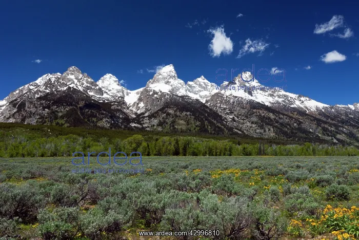 : Grand Teton Mountain Range Grand Teton National : Grand Teton Mountain Range Grand Teton National