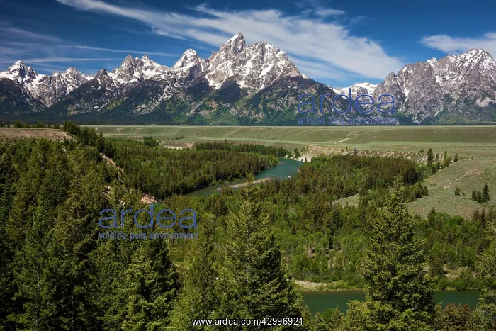  : Grand Teton Mountain Range - at Snake River Overlook