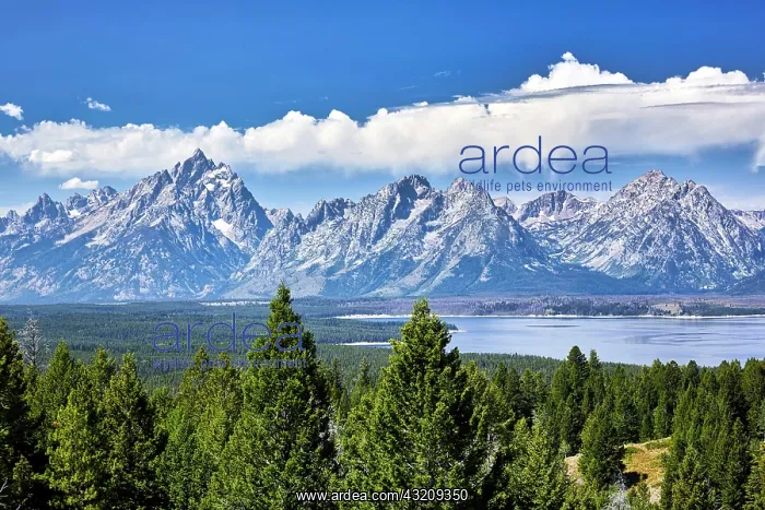 : Grand Teton National Park. Wyoming. United States : Grand Teton National Park. Wyoming. United States