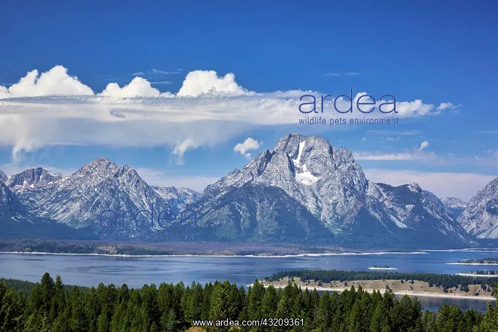: Grand Teton National Park. Wyoming. United States : Grand Teton National Park. Wyoming. United States
