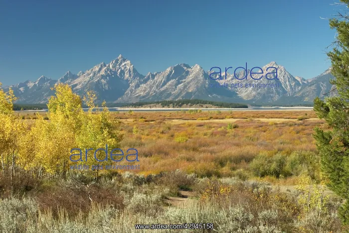  : Grand Teton Range