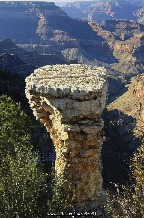  : Grandview Point, Grand Canyon, Arizona