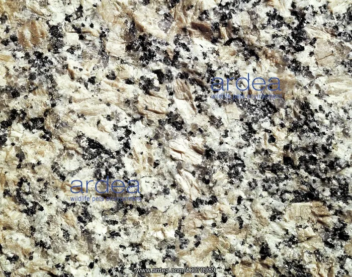 : Granite. A close-up view of granite : Granite. A close-up view of granite