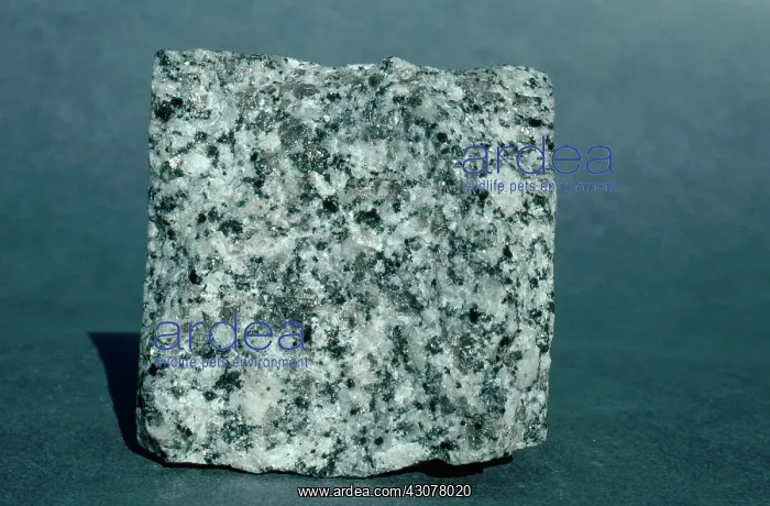 : Granite. Sample of granite, showing its component minerals of quartz, feldspar, mica : Granite. Sample of granite, showing its component minerals of quartz, feldspar, mica