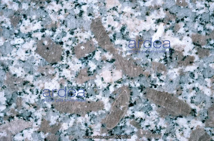 : Granite. Close-up of granite, showing its component minerals of quartz, feldspar, mica : Granite. Close-up of granite, showing its component minerals of quartz, feldspar, mica