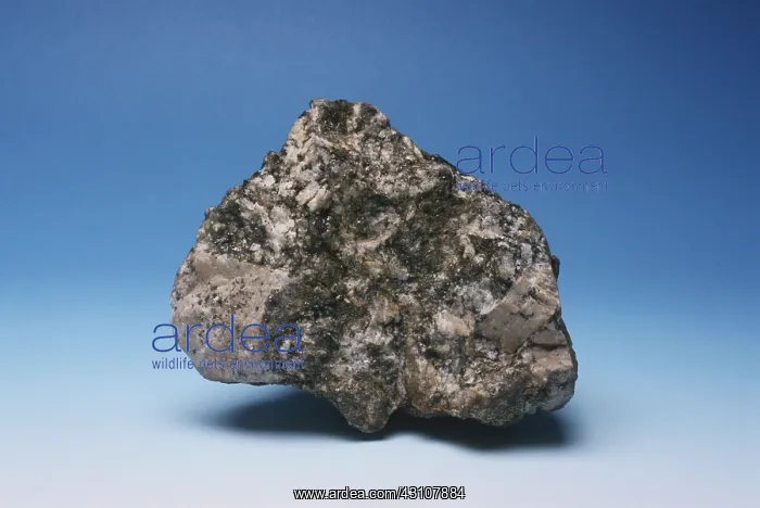 : Granite with large porphyritic crystals : Granite with large porphyritic crystals