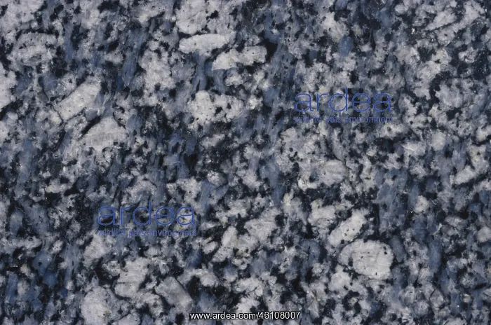 : Granite. Close-up of granite, showing its component minerals : Granite. Close-up of granite, showing its component minerals