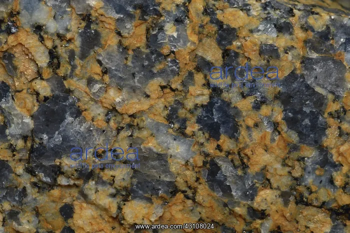 : Granite. Close-up of granite with big gray quartz crystals from Pebble Beach, California : Granite. Close-up of granite with big gray quartz crystals from Pebble Beach, California