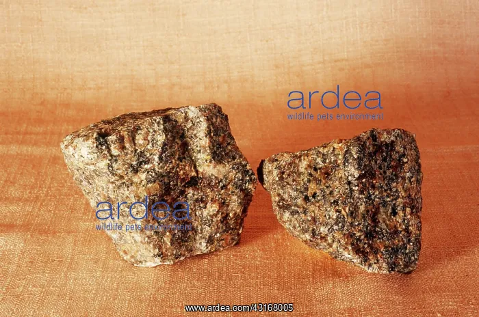 : Granite specimens : Granite specimens