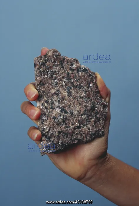 : Granite. A sample of granite from the collection at the US Geological Survey in Menlo Park : Granite. A sample of granite from the collection at the US Geological Survey in Menlo Park