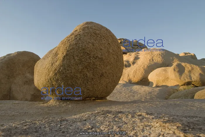 : Granite Boulder : Granite Boulder