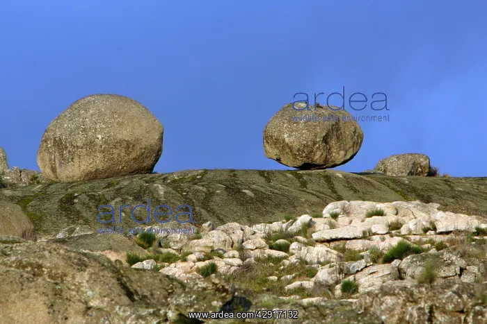 : Granite Boulder Terrain - beside Valencia de Alcantara : Granite Boulder Terrain - beside Valencia de Alcantara