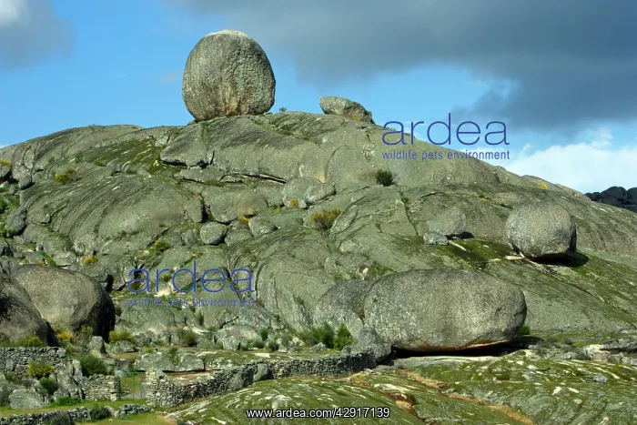 : Granite Boulder Terrain - beside Valencia de Alcantara : Granite Boulder Terrain - beside Valencia de Alcantara