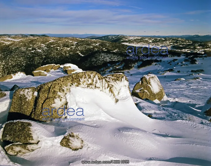  : Granite boulders covered with wind-blown ice on