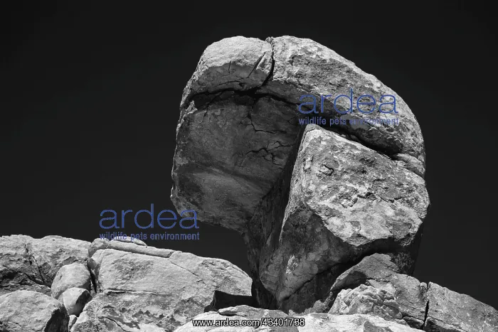 : Granite Boulders, Joshua Tree National Park, California : Granite Boulders, Joshua Tree National Park, California