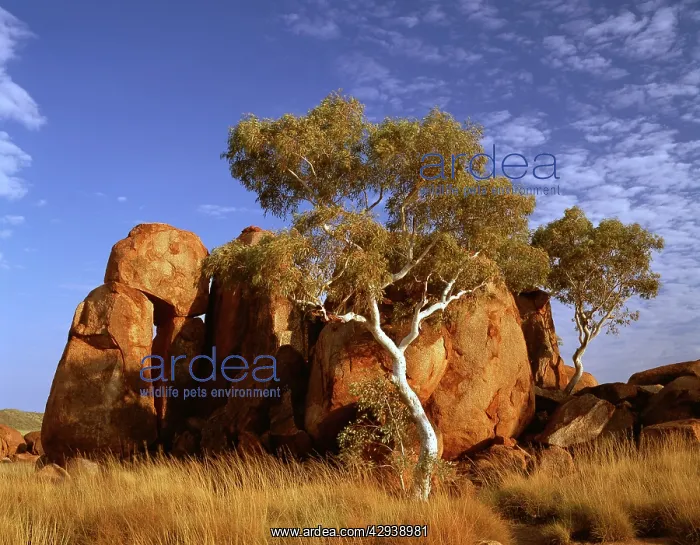 : Granite boulders in Karlwekarlwe Karlu Kalu.(Iround : Granite boulders in Karlwekarlwe Karlu Kalu.(Iround