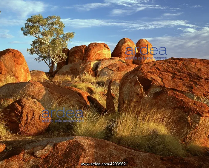 : Granite boulders in Karlwekarlwe Karlu Kalu.(Iround : Granite boulders in Karlwekarlwe Karlu Kalu.(Iround