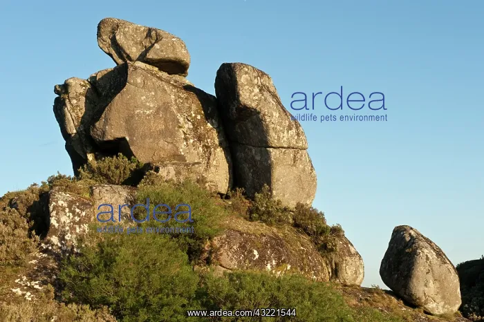  : Granite boulders. Sierra de Caramulo Tondela