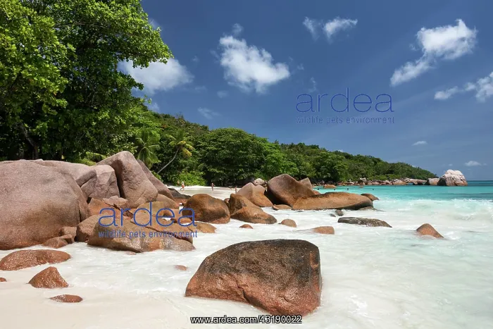 : Granite cliffs and beach at Anse Lazio, Praslin : Granite cliffs and beach at Anse Lazio, Praslin